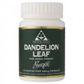 Bio health Dandelion Leaf 300mg 60 caps